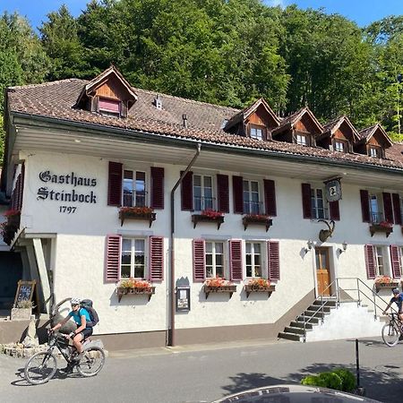 Historic Hotel Steinbock Wilderswil Exteriér fotografie