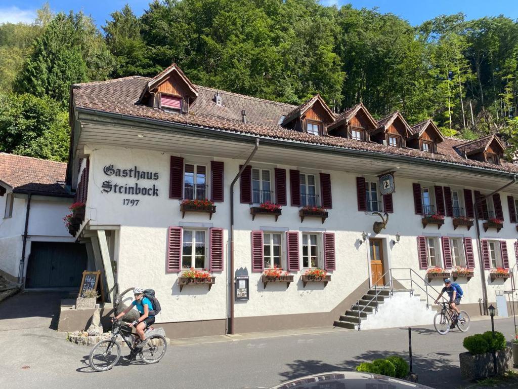 Historic Hotel Steinbock Wilderswil Exteriér fotografie