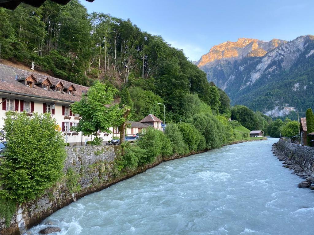 Historic Hotel Steinbock Wilderswil Exteriér fotografie
