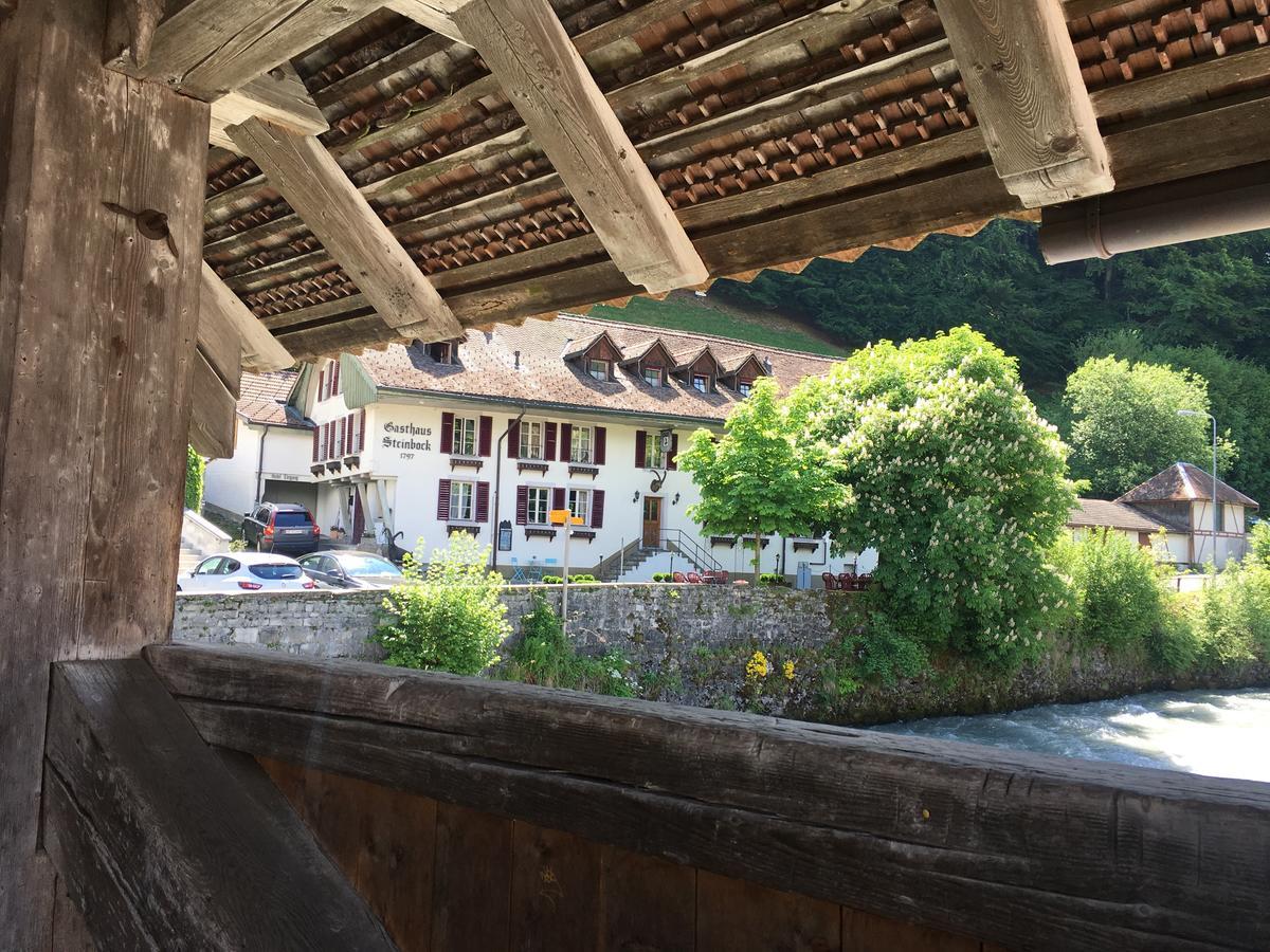 Historic Hotel Steinbock Wilderswil Exteriér fotografie